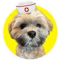 Achilles-Nurse-Pic